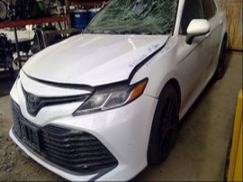 2019 TOYOTA CAMRY WHITE LE, 2.5L, AT.  Z24878